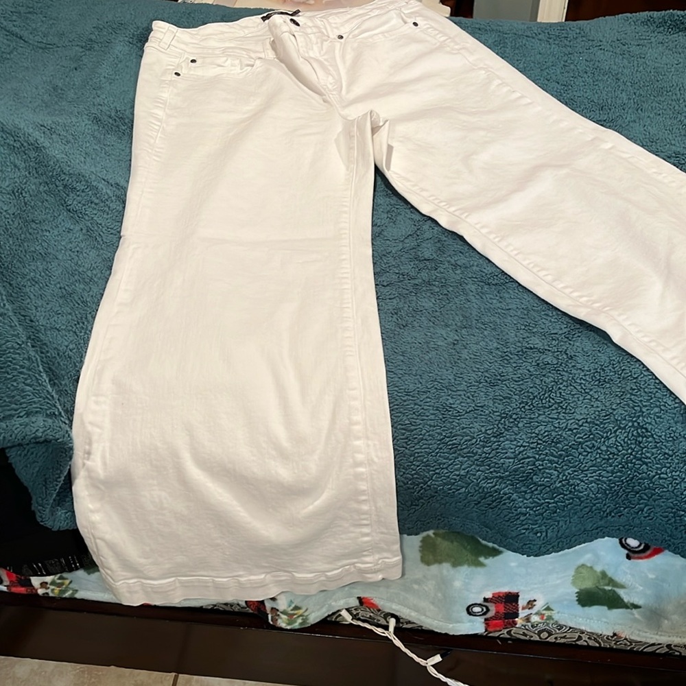 Torrid pants
